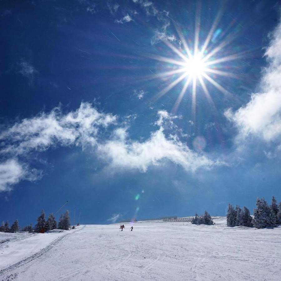 Ski & Spa Apartment S20 Milmari Resort קופאוניק מראה חיצוני תמונה