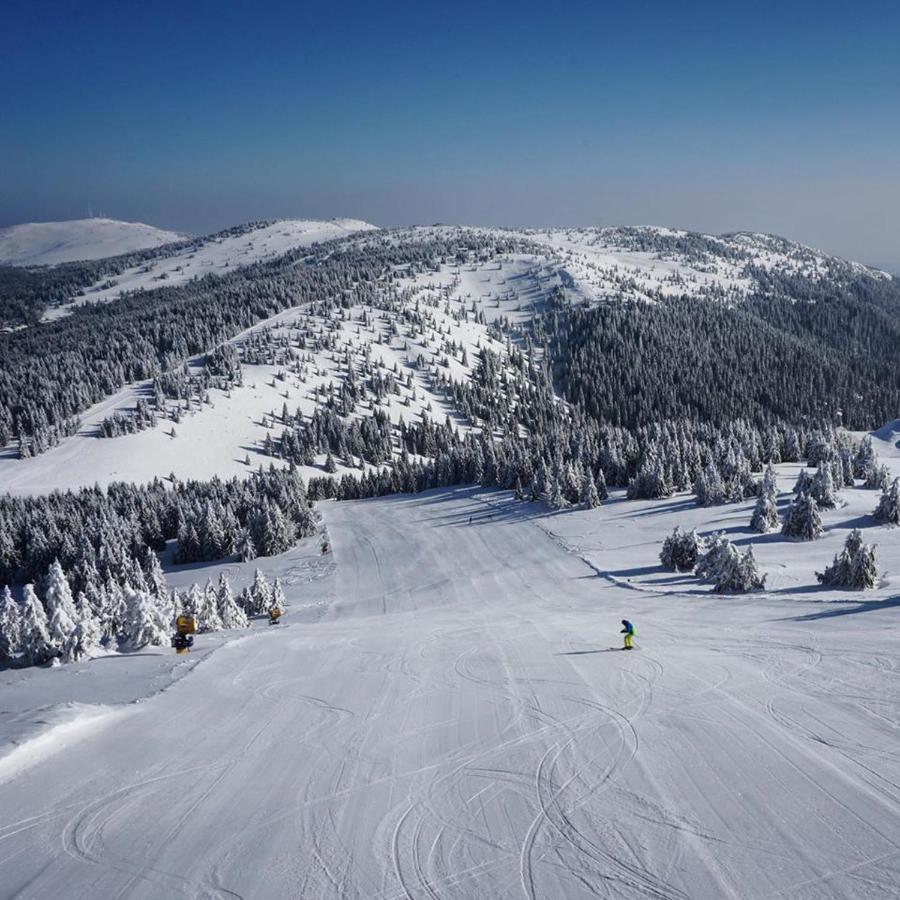 Ski & Spa Apartment S20 Milmari Resort קופאוניק מראה חיצוני תמונה